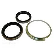 Bearing Wholesalers Wheel Bearing Seal Kit - 801205K