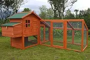 Super Large Deluxe Chicken Coop