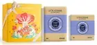 2 PC L'Occitane SHEA LAVENDER Extra Gentle Soap Duo 8.8 oz+3.5oz NIB
