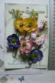 TANEISHA - 6 Pack Mix 2 of each colour with Stems 35-40cm Across ManorHouse ConB