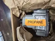 Propane Gas Valve, Raypak 206A/266/266A/336A/399/406A, IID : 004306F