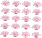 VINTORKY Essential Oil Diffuser Chrysanthemum Flowers 100 Pack Aromatherapy Kit for Relaxation