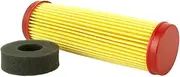 Long Victa Air Filter Element and Foam Dust Seal