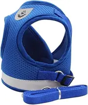 Sosoport 1Set Dog Harness and Leash Set Cooling Vest for Puppies Breathable Pet Vest with Reflective Design for Easy Control and Comfort Hot Weather