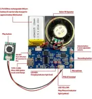 Module - 16MB Push Button Activated Sound Module with Speaker Type-C Cable