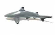 RARE Japan Exclusive Colorata Blacktip Reef Shark Fish Figure