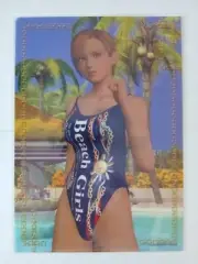 Lisa bikini B5 clear file (Dead or Alive Xtreme Famitsu Xbox) plastic folder