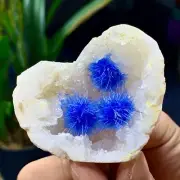 65G Indian dandelion zeolite Quartz Crystal Cluster Mineral Specimen