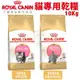 Royal Canin 法國皇家 貓專用乾糧 10Kg【免運】室內貓 腸道 泌尿 幼貓 體態貓 貓飼料『WANG』