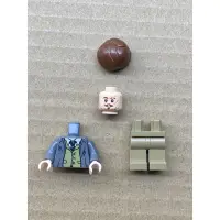 在飛比找蝦皮購物優惠-LEGO 樂高 人偶 雷木思·路平 哈利波特 75955