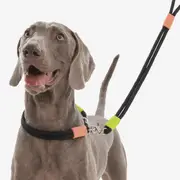 Maogou Blue Marshmallow Miqie Dog Leash Black