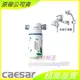 ☆水電材料王☆ CAESAR 凱撒 WF320A 沐浴除氯器 WF320-1 濾芯 含稅附發票 原廠公司貨