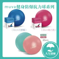 在飛比找蝦皮購物優惠-muva 瑜珈健身防爆抗力球 65cm 沉靜藍 魅力桃 玫瑰