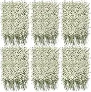 300 Pcs Dried Babys Breath Flowers Bulk Ivory White Babys Breath Real Pressed Flowers Natural Gypsophila for Resin Wedding Art Craft DIY Invitations Scrapbooking Card Making