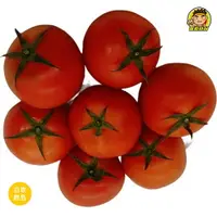 在飛比找樂天市場購物網優惠-【蘭陽餐飲食材行】生鮮冷藏牛番茄 ( 半斤/包 ) 蕃茄 /