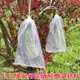 防鳥網 套葡萄水果套枇杷防蟲防鳥白色紗網套袋透氣透光防果蠅套樹苗防蟲 限時88折