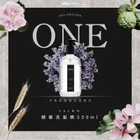 在飛比找Yahoo奇摩購物中心優惠-【Allegrini 艾格尼】ONE系列 精華洗髮精 500