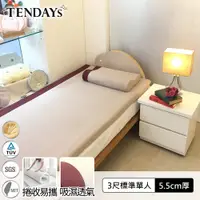 在飛比找PChome24h購物優惠-【TENDAYS】DS柔眠記憶床(焦糖莓)3尺標準單人5.5