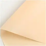 Wrapping Paper Matte Paper 8 Models Flower Wrapping Paper Gift Wrap Packaging for Family Friend Classmate (Color : Champagne)