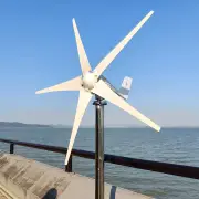 3000W 5 Blades 12V Free Energy Windmill Wind Power Small Wind Turbine Generator MPPT Controller For Home Street use