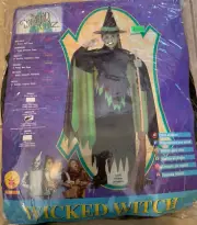 Wicked Witch Wizard of Oz Girls Costume Large 12-14 NEW in retail packag Rubies