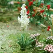 MP Scenery Products 70031 - HO Scale - Yuccas 3/4" Height, 20/pk