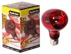 Reptile One Infrared Heat Globe Lamp Eddison Screw Fitting Snakes