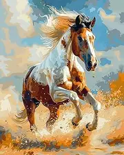 shinefly Paint by Numbers for Adults Beginners Home Acrylic Paint by Numbers Kits for Kids on Canvas 16x20 inch, Running Horse
