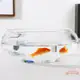 金魚缸透明玻璃魚缸小型家用造景圓形小魚缸客廳辦公桌迷你烏龜缸