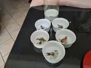 Vintage APILCO RAMEKINS (6)- Made In FRANCE