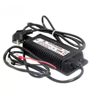 Waterproof AC 90-265V to DC 14.6V 29.2V 43.8V 300W Lifepo4 Battery Charger Ebike