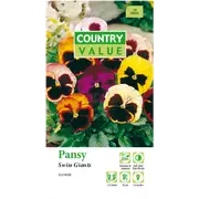 Country Value Swiss Giants Pansy Flower Seeds
