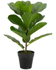 A&B Home Decorative Fiddle-Leaf Fig Tree in Pot