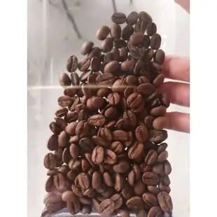 東山咖啡豆。 Dongshan  coffee beans 台南市東山區東山咖啡公路
