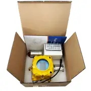 Carbon Monoxide Gas Detectors Wall-mounted CO Detector with Range 0 to 1000ppm