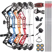 Compound Bow Set Arrow 19-70lbs Aluminum Alloy Archery Hunting Target T1
