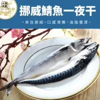 在飛比找momo購物網優惠-挪威巨無霸肥美熟成鯖魚