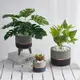 綠植仿真植物盆栽擺件創意假龜背葉多肉裝飾擺設室內客廳窗臺