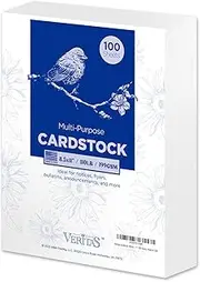 Veritas Cardstock Printer Paper, White Copy Paper, 8.5” x 11” Computer Paper, 110lb/199gsm Multi-Purpose paper, 100 Sheets Card Stock, Made in USA