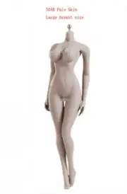 TBLeague 1/6 Steel Skeleton FEMALE Body S10D PHICEN Pale Big Breast Figure