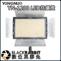 在飛比找蝦皮購物優惠-【 永諾 YN-1200 LED持續燈 預購商品 】 數位黑