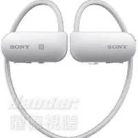 在飛比找Yahoo!奇摩拍賣優惠-【曜德☆刷卡0利率】SONY SSE-BTR1 銀 隨身教練