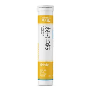 身可補 Suntab 發泡錠 20顆 維他命C 維他命D 鈣 B群 電解質 鉻 山苦瓜 鐵