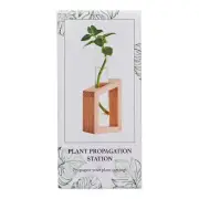 NEW Green Room Propagation Station Single With Timber Base By Spotlight