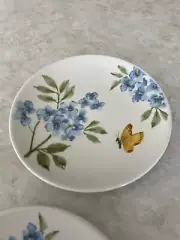 Set of 2 Maxcera 6" Appetizer Plates, Blue Hydrangea, Yellow Butterfly 2 Designs