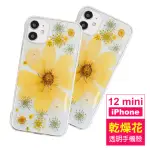 IPHONE 12 MINI 5.4吋 透明乾燥花永生花四邊防摔手機殼(IPHONE12MINI保護殼 IPHONE12MINI手機殼)