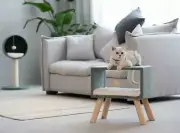 Concise Style Cat Cave and Cat Tree 2 in 1 Cat Climbing Frame Cat Toy Solid Wood