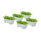 SOGA Rectangular Garden Planter Box Vegetable Herb Flower Bed Set of 5 White
