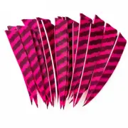 50 Pcs 4Inch Archery Arrow Feathers Wings for Wood Fiberglass Carbon Bow Arrow