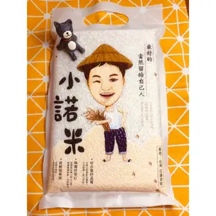 花東優質好米～小諾米-白米1公斤裝（台稉16號）/花蓮米/吉安米